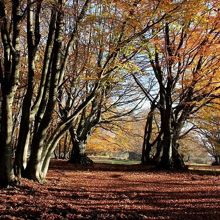 Otel Due Torri San Severino Marche